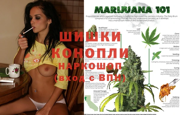 молекула духа Алексеевка